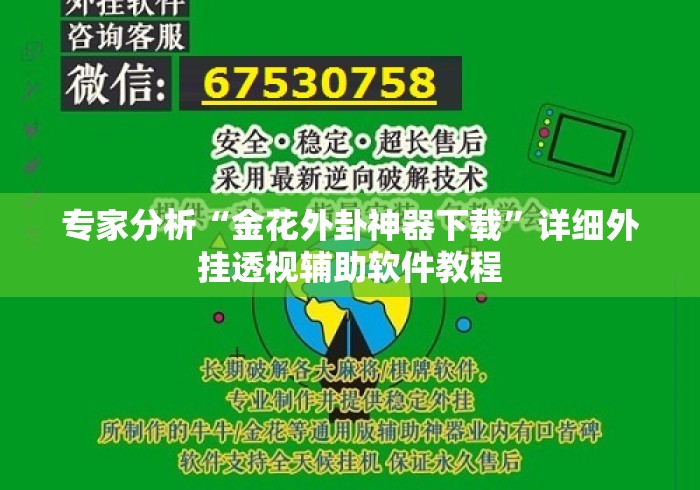 专家分析“金花外卦神器下载”详细外挂透视辅助软件教程