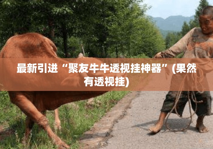 最新引进“聚友牛牛透视挂神器	”(果然有透视挂)