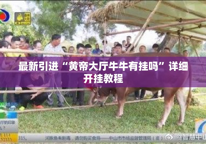 最新引进“黄帝大厅牛牛有挂吗	”详细开挂教程