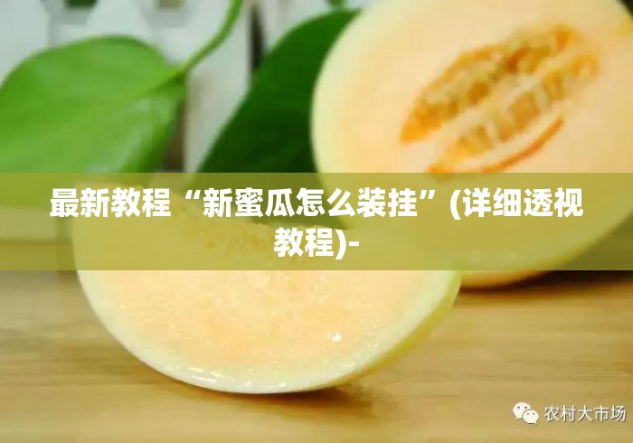 最新教程“新蜜瓜怎么装挂”(详细透视教程)-