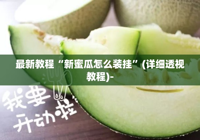 最新教程“新蜜瓜怎么装挂”(详细透视教程)-