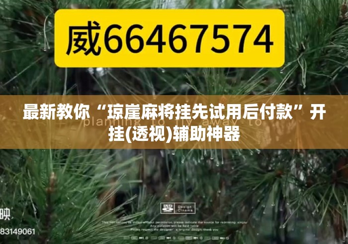 最新教你“琼崖麻将挂先试用后付款”开挂(透视)辅助神器