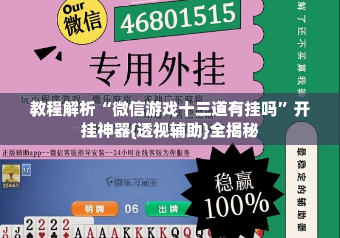 教程解析“微信游戏十三道有挂吗”开挂神器{透视辅助}全揭秘