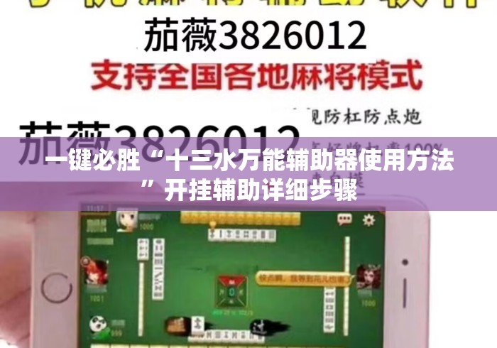 一键必胜“十三水万能辅助器使用方法”开挂辅助详细步骤