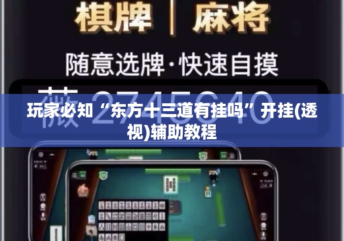 玩家必知“东方十三道有挂吗	”开挂(透视)辅助教程