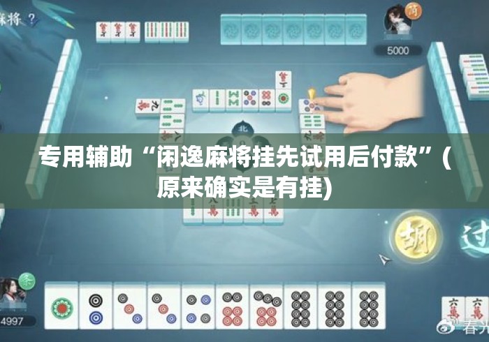 专用辅助“闲逸麻将挂先试用后付款	”(原来确实是有挂)