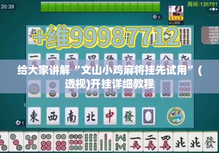 给大家讲解“文山小鸡麻将挂先试用”(透视)开挂详细教程