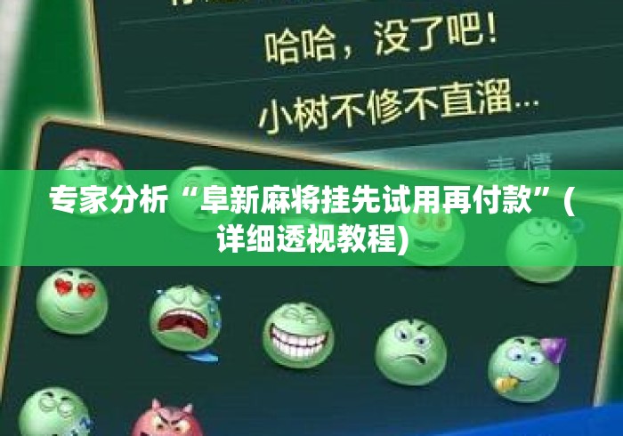 专家分析“阜新麻将挂先试用再付款	”(详细透视教程)