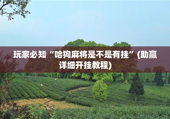 玩家必知“哈狗麻将是不是有挂”(助赢详细开挂教程)