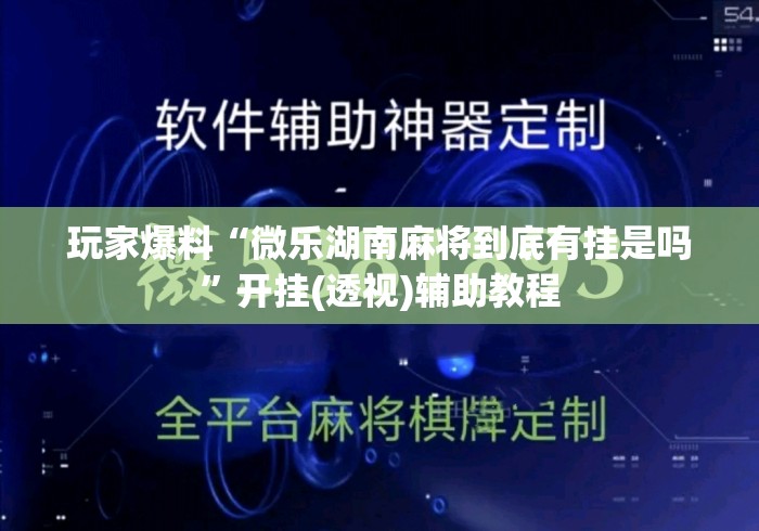 玩家爆料“微乐湖南麻将到底有挂是吗”开挂(透视)辅助教程