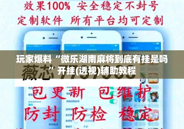 玩家爆料“微乐湖南麻将到底有挂是吗”开挂(透视)辅助教程