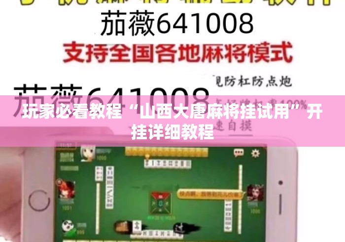 玩家必看教程“山西大唐麻将挂试用”开挂详细教程