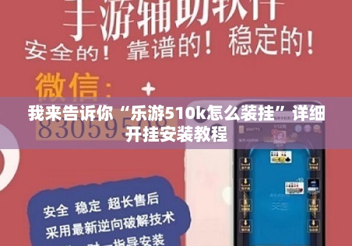 我来告诉你“乐游510k怎么装挂	”详细开挂安装教程