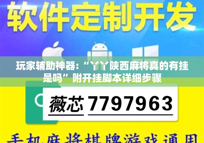 玩家辅助神器:“丫丫陕西麻将真的有挂是吗”附开挂脚本详细步骤