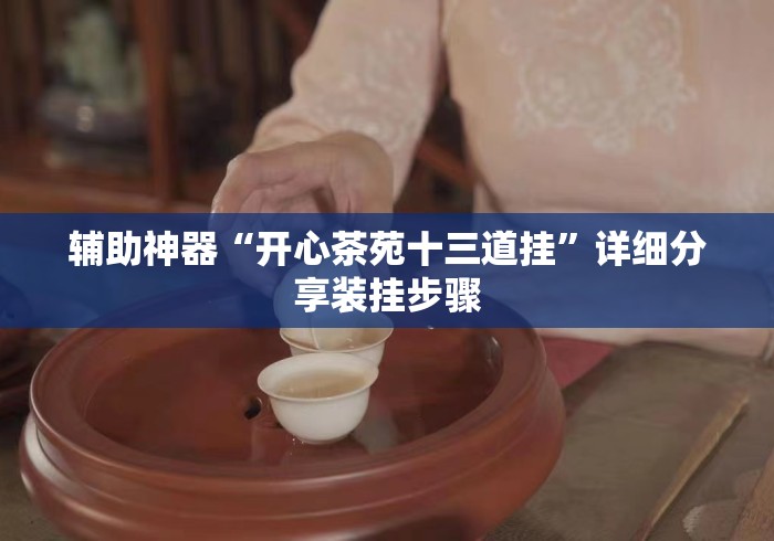 辅助神器“开心茶苑十三道挂”详细分享装挂步骤