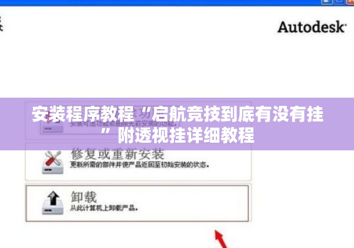 安装程序教程“启航竞技到底有没有挂”附透视挂详细教程