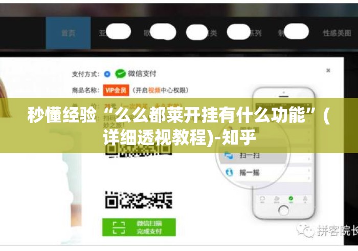 秒懂经验“么么都莱开挂有什么功能”(详细透视教程)-知乎