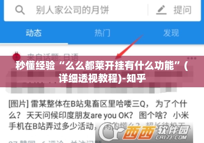 秒懂经验“么么都莱开挂有什么功能”(详细透视教程)-知乎