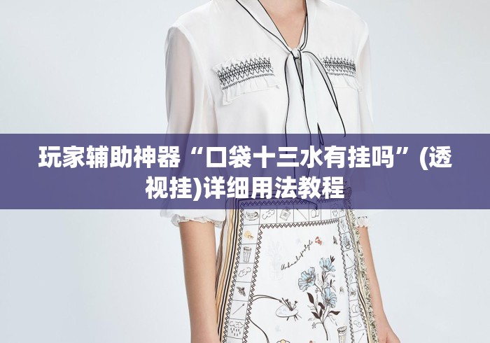 玩家辅助神器“口袋十三水有挂吗”(透视挂)详细用法教程
