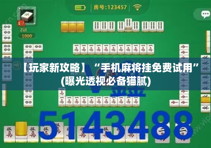 【玩家新攻略】“手机麻将挂免费试用”(曝光透视必备猫腻)