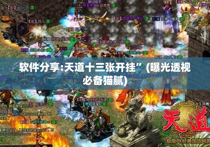 软件分享:天道十三张开挂”(曝光透视必备猫腻)
