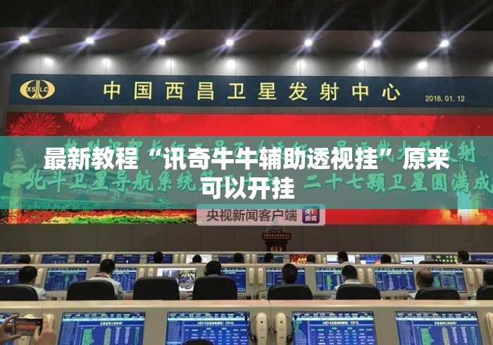 最新教程“讯奇牛牛辅助透视挂”原来可以开挂