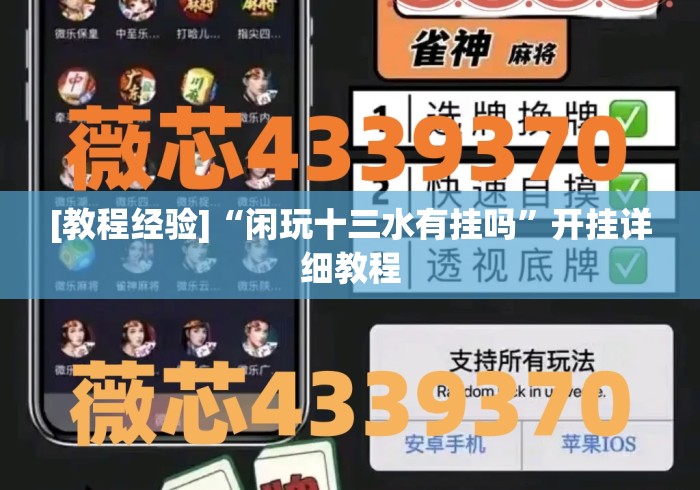 [教程经验]“闲玩十三水有挂吗”开挂详细教程