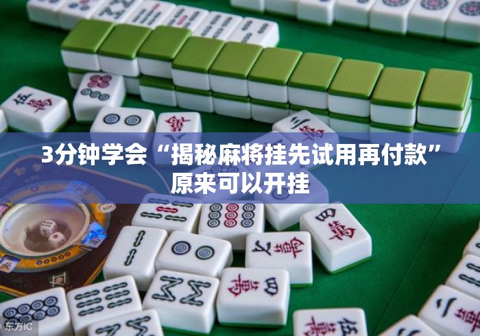 3分钟学会“揭秘麻将挂先试用再付款”原来可以开挂