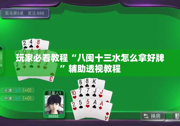 玩家必看教程“八闽十三水怎么拿好牌”辅助透视教程