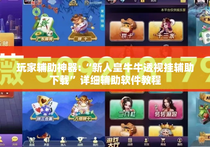 玩家辅助神器:“新人皇牛牛透视挂辅助下载”详细辅助软件教程