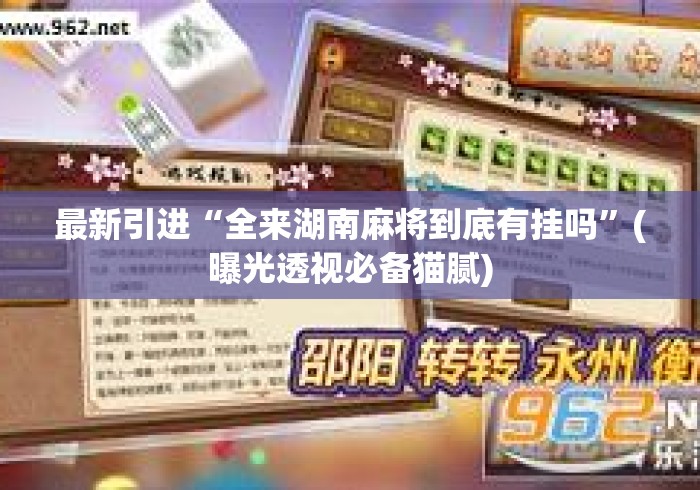 最新引进“全来湖南麻将到底有挂吗”(曝光透视必备猫腻)