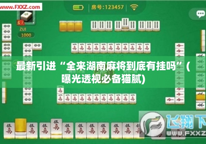 最新引进“全来湖南麻将到底有挂吗”(曝光透视必备猫腻)