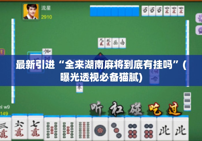 最新引进“全来湖南麻将到底有挂吗”(曝光透视必备猫腻)