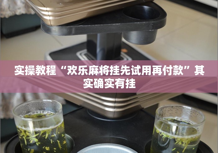 实操教程“欢乐麻将挂先试用再付款	”其实确实有挂