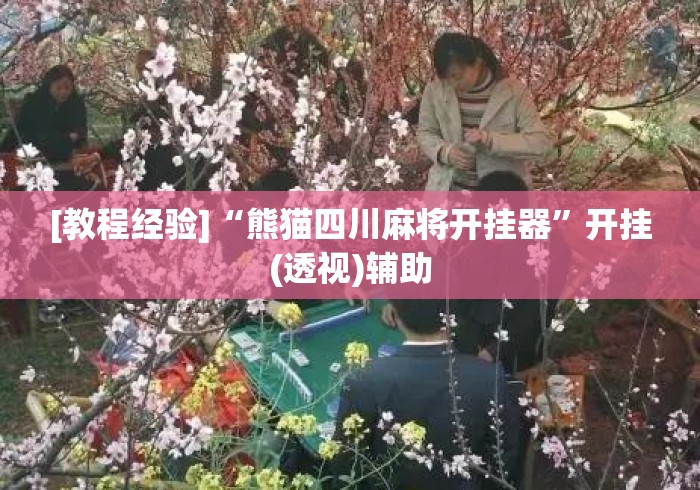 [教程经验]“熊猫四川麻将开挂器”开挂(透视)辅助