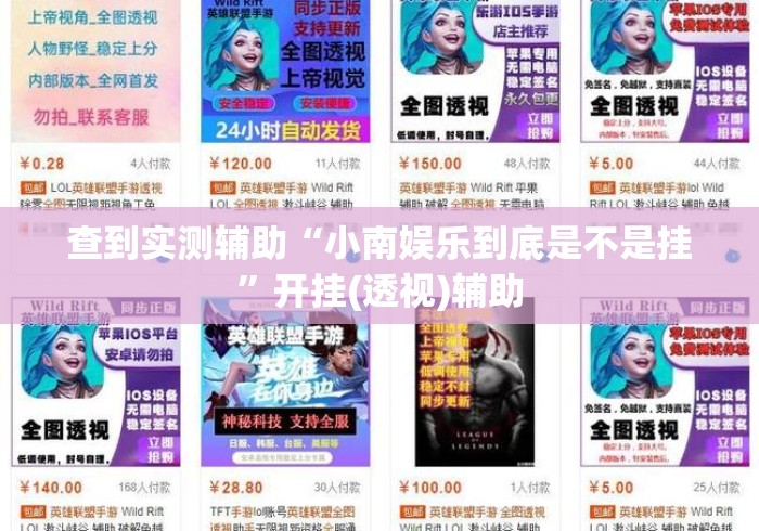 查到实测辅助“小南娱乐到底是不是挂”开挂(透视)辅助