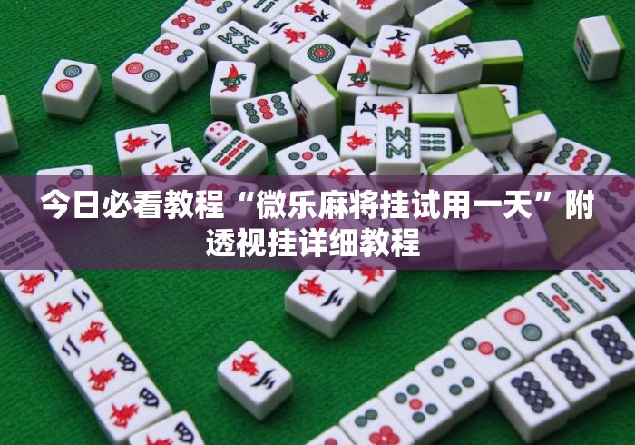 今日必看教程“微乐麻将挂试用一天	”附透视挂详细教程 