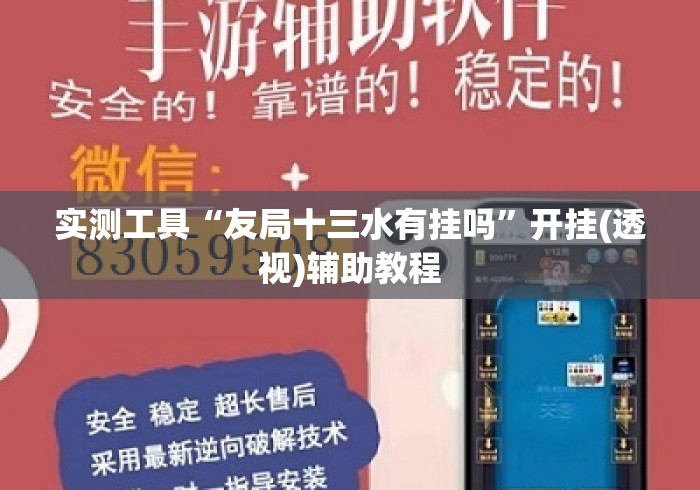 实测工具“友局十三水有挂吗”开挂(透视)辅助教程