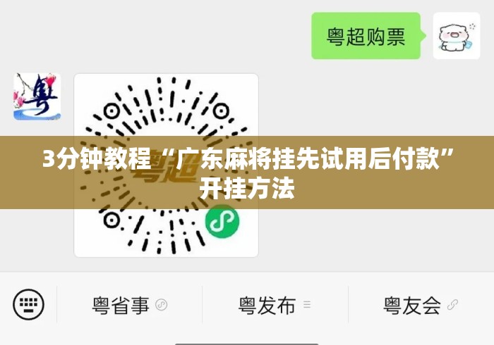 3分钟教程“广东麻将挂先试用后付款”开挂方法