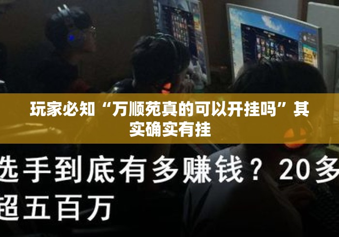玩家必知“万顺苑真的可以开挂吗”其实确实有挂