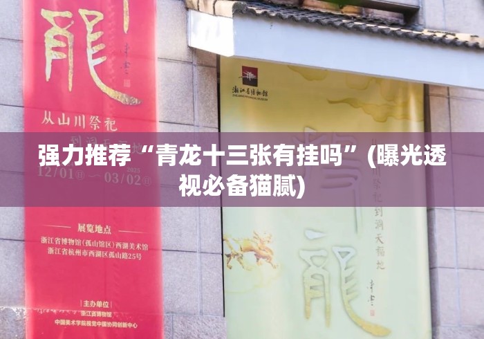 强力推荐“青龙十三张有挂吗	”(曝光透视必备猫腻)