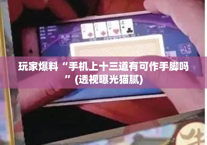 玩家爆料“手机上十三道有可作手脚吗	”(透视曝光猫腻)