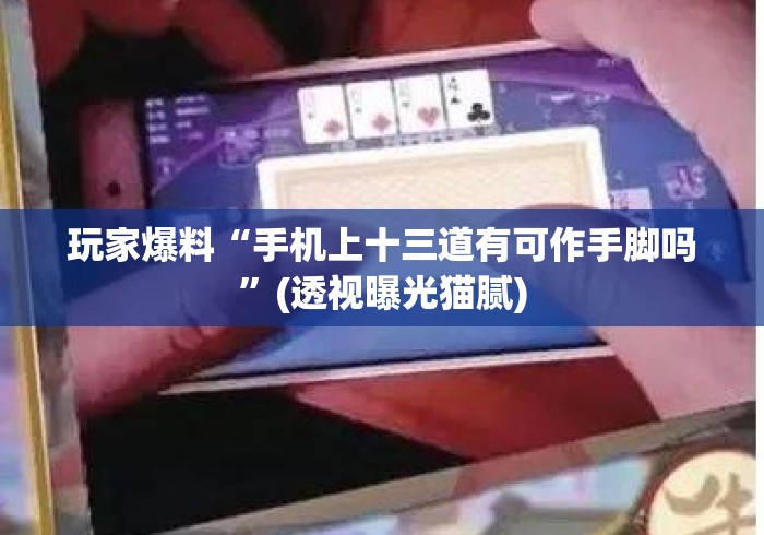 玩家爆料“手机上十三道有可作手脚吗”(透视曝光猫腻)