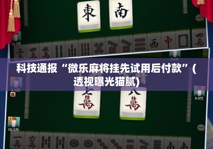 科技通报“微乐麻将挂先试用后付款	”(透视曝光猫腻)