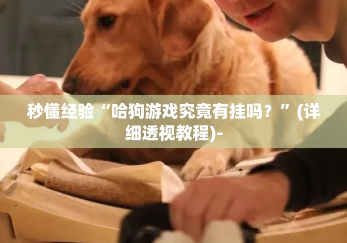 秒懂经验“哈狗游戏究竟有挂吗？”(详细透视教程)-