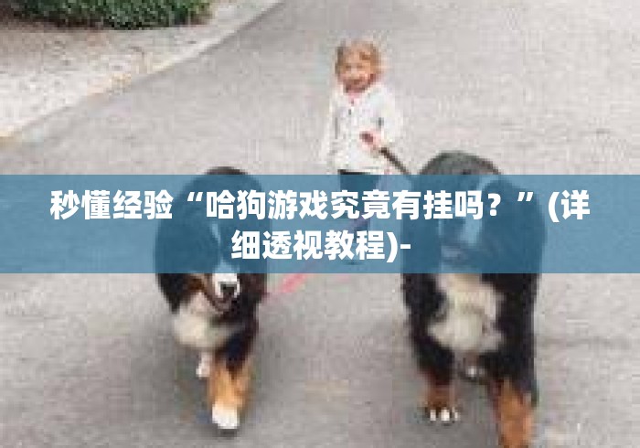 秒懂经验“哈狗游戏究竟有挂吗？”(详细透视教程)-