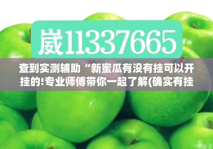 查到实测辅助“新蜜瓜有没有挂可以开挂的!专业师傅带你一起了解(确实有挂)