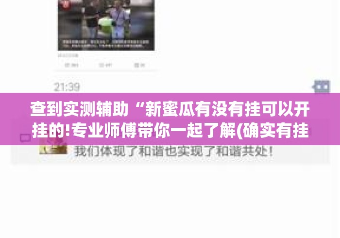 查到实测辅助“新蜜瓜有没有挂可以开挂的!专业师傅带你一起了解(确实有挂)