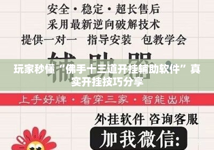 玩家秒懂“佛手十三道开挂辅助软件	”真实开挂技巧分享