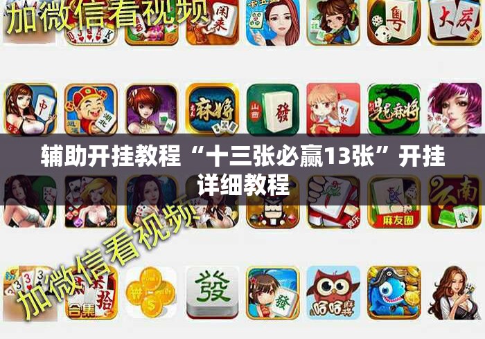 辅助开挂教程“十三张必赢13张”开挂详细教程